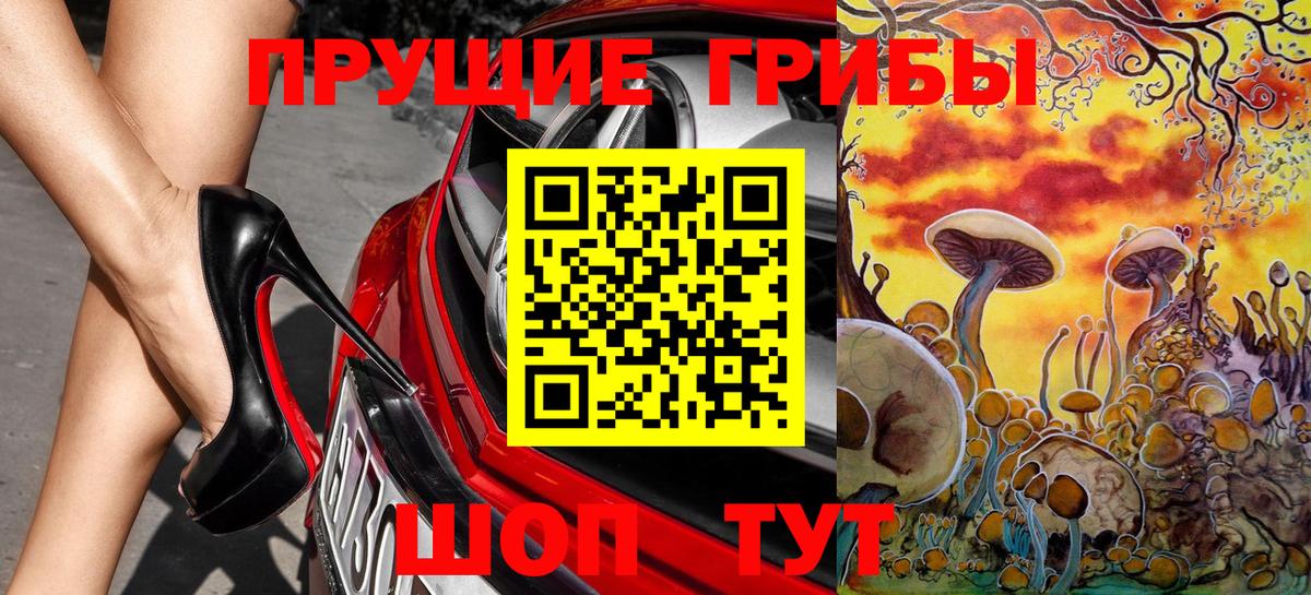 Псилоцибиновые грибы GOLDEN TEACHER  Псилоцибиновые грибы Psilocybe  Баксан  Вход с VPN 