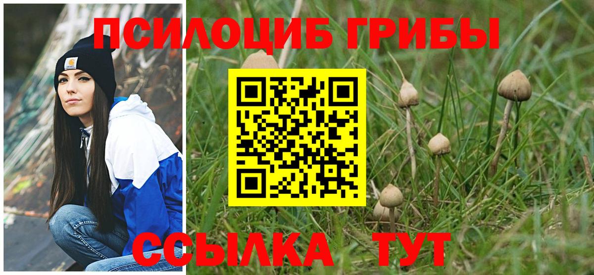 Псилоцибиновые грибы Cubensis Баксан